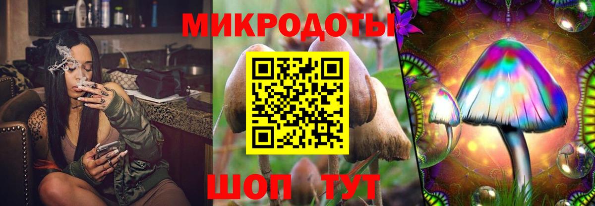 Щёлково  Галлюциногенные грибы ЛСД  Вход с VPN  сколько стоит  Галлюциногенные грибы ЛСД 